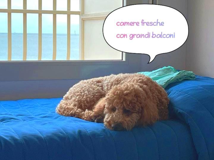 Hotel Buenos Aires チェルヴィア エクステリア 写真